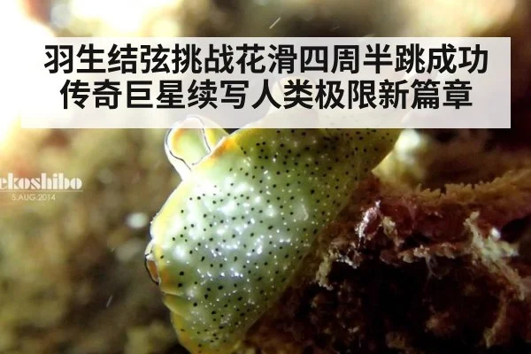 羽生结弦挑战花滑四周半跳成功 传奇巨星续写人类极限新篇章